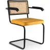 Esszimmerstuhl mit Armlehnen - mit Samt gepolstert - Holz und Rattan - Puila image 7