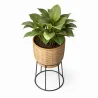 Runder Bodenpflanztopf - Boho-Stil - Aventura image 7