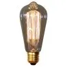 Vintage Edison-Glühbirne - Squirrel image 7