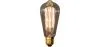 Vintage Edison-Glühbirne - Squirrel image 9