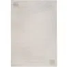 Großer Teppich im Zeitgenössischen Modernen Design - Beige (290x200 cm) - Cyru image 9