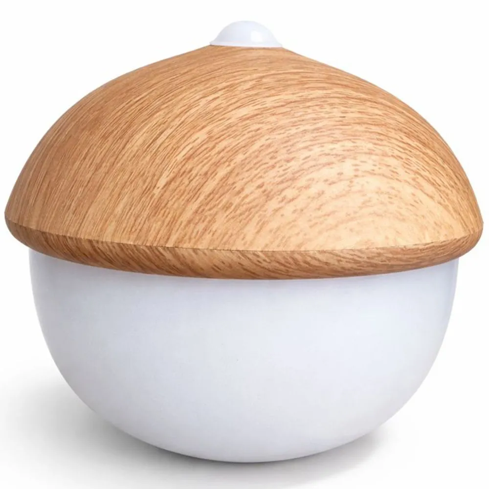 Tischlampe USB Wiederaufladbar LED mit Berührungssensor – Warmes Licht – Eichel image 8