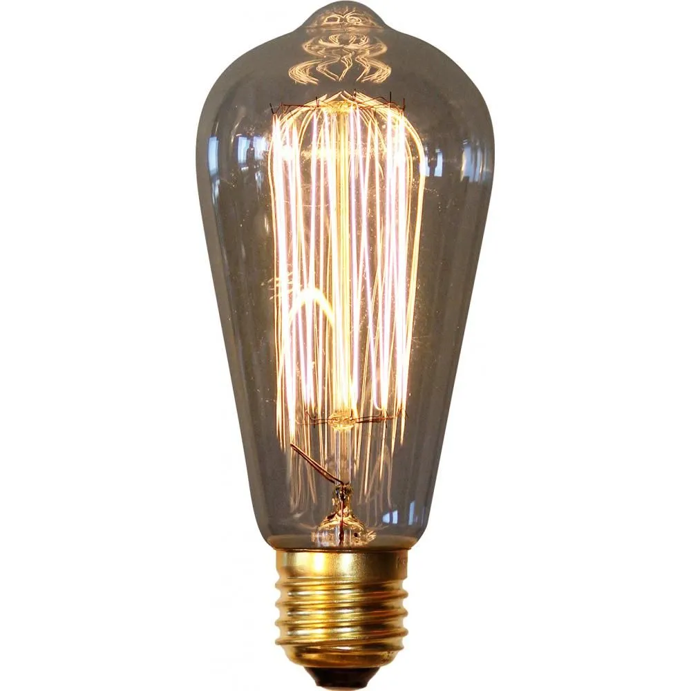 Vintage Edison-Glühbirne - Squirrel image 8